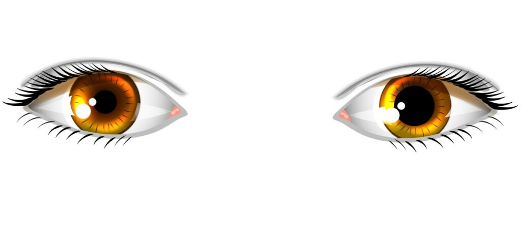 anizocoria, pupilele ochilor cu dimensiuni diferite | Ofta Total
